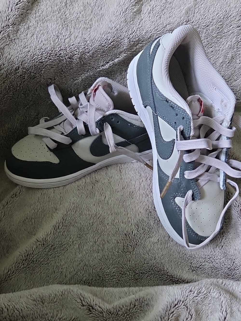 Nike Youth Nike Dunk Low 3Y Gray & White Low-Top Sneakers